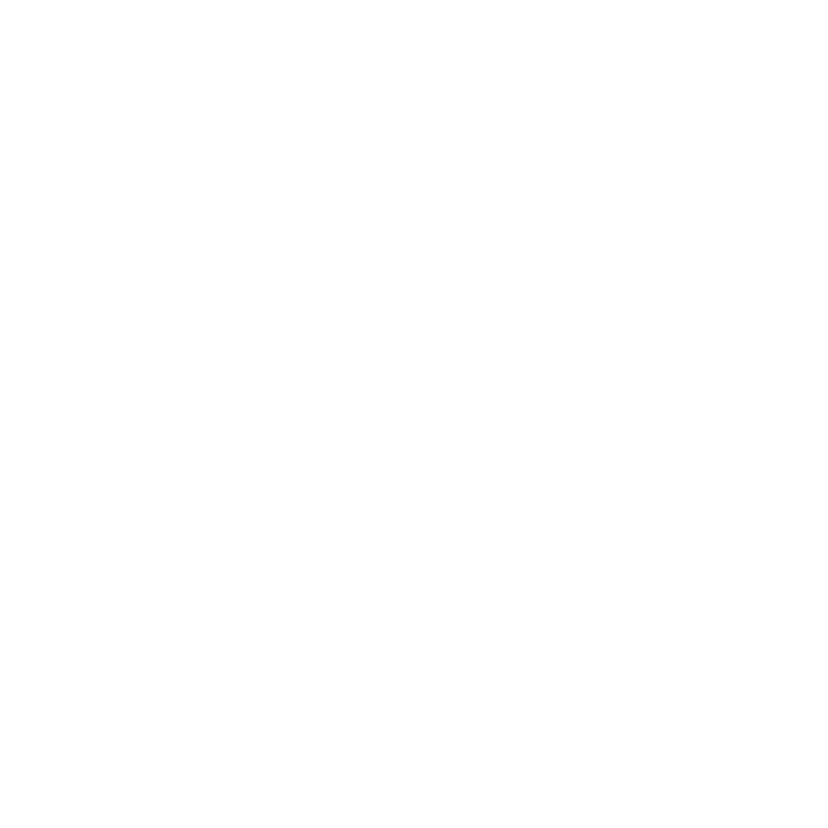 VIB Shoe